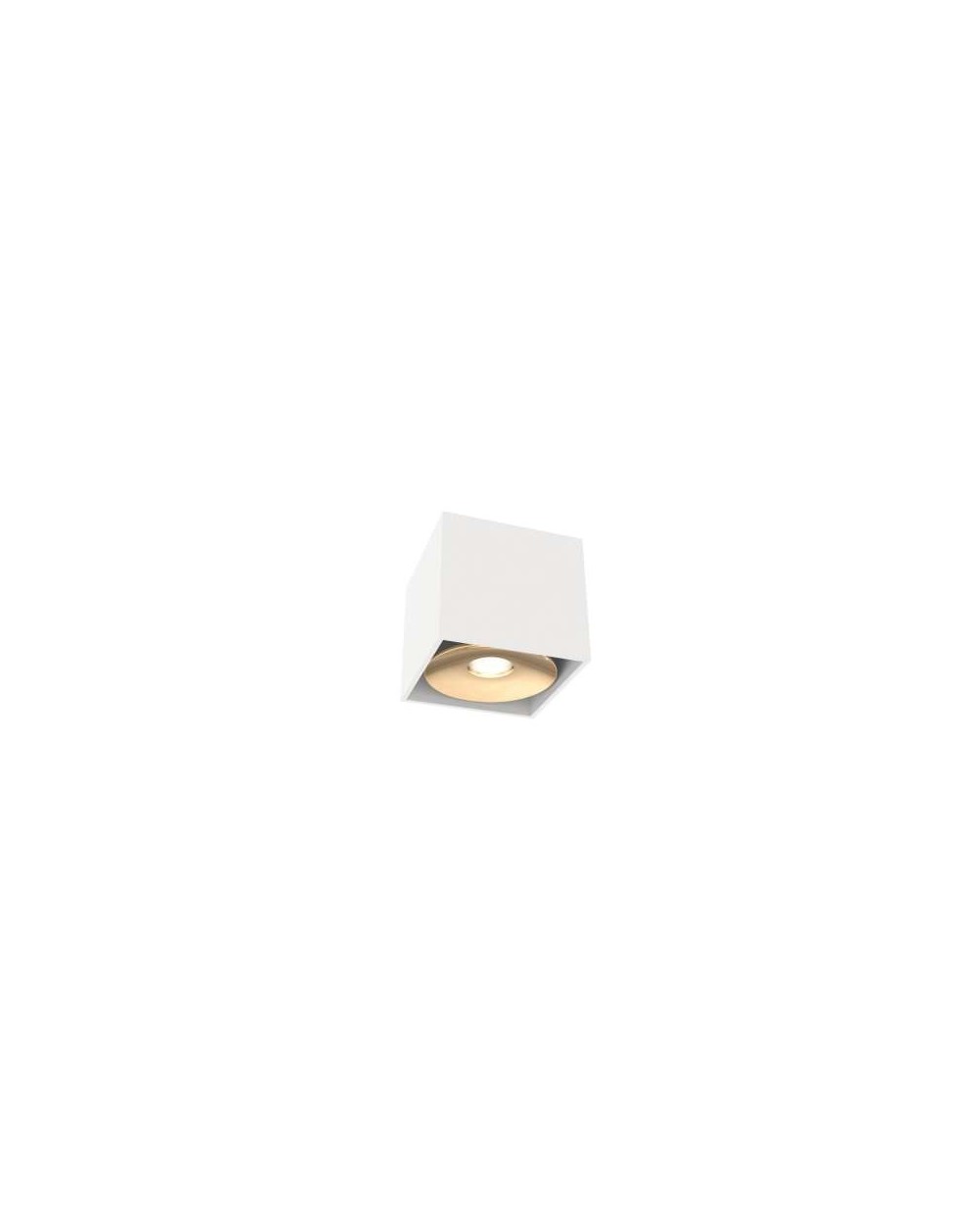 Oprawa natynkowa CARDI I Small Bianco/Gold - Orlicki Design w kolorze biało-złotym lampa natynkowa sufitowa